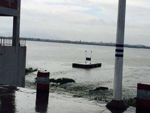 广东今日关注爆料电话,揭秘爆料热线背后的故事 第3张 广东今日关注爆料电话,揭秘爆料热线背后的故事 第3张